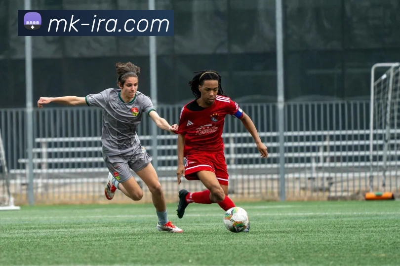 MK体育平台展示图